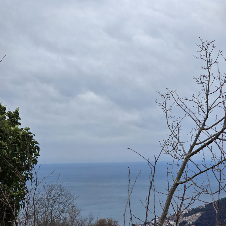 Land for Sale in Budva with Stunning Sea View – Prime Investment Opportunity Looking for land for sale in Budva with a sea view? This prime real estate in the scenic town of Markovići offers 5135m² of buildable land, just 15 minutes from Budva city center. Enjoy breathtaking Adriatic views, fresh air, and a peaceful environment—perfect for residential or tourism investment. The plot has road access, water, and electricity already in place, making it ideal for construction. Don’t miss this real estate opportunity in Montenegro
