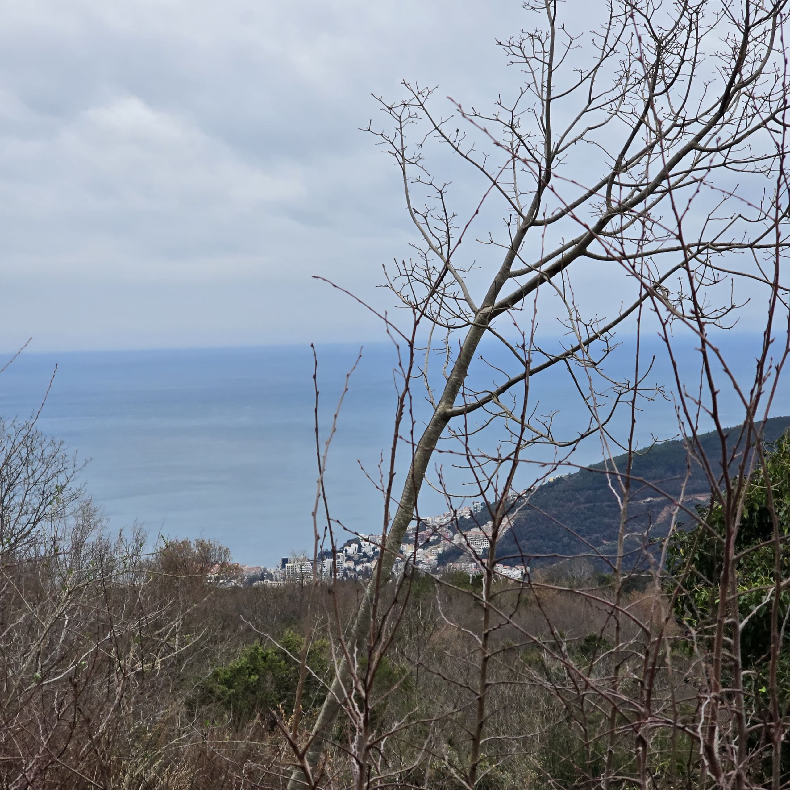 Land for Sale in Budva with Stunning Sea View – Prime Investment Opportunity Looking for land for sale in Budva with a sea view? This prime real estate in the scenic town of Markovići offers 5135m² of buildable land, just 15 minutes from Budva city center. Enjoy breathtaking Adriatic views, fresh air, and a peaceful environment—perfect for residential or tourism investment. The plot has road access, water, and electricity already in place, making it ideal for construction. Don’t miss this real estate opportunity in Montenegro