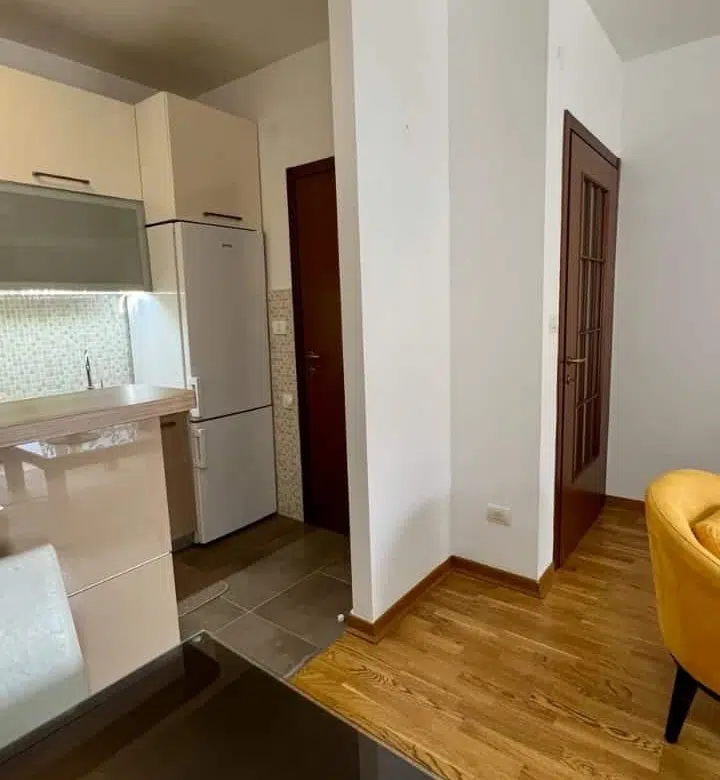 One Bedroom Apartment for Rent,51m2,City Kvart,Podgorica