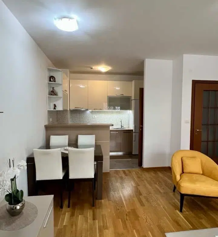 One Bedroom Apartment for Rent,51m2,City Kvart,Podgorica