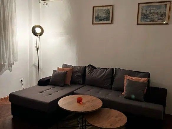 One Bedroom Apartment for Rent,50m2,Preko Morace,Podgorica