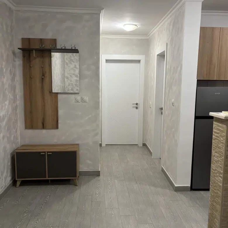 One Bedroom Apartment for Rent,45m2,Tolosi,Podgorica
