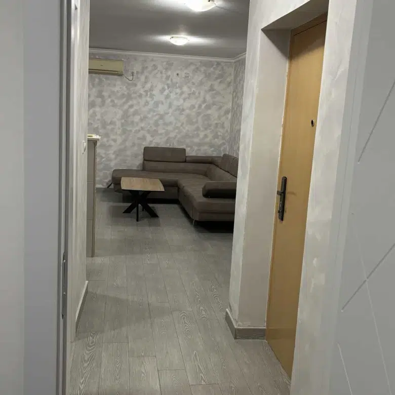 One Bedroom Apartment for Rent,45m2,Tolosi,Podgorica