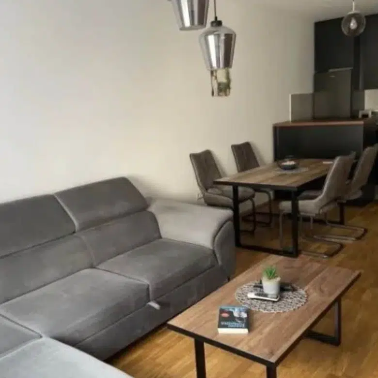 One Bedroom Apartment for Rent,49m2,Stari Aerodrom,Podgorica