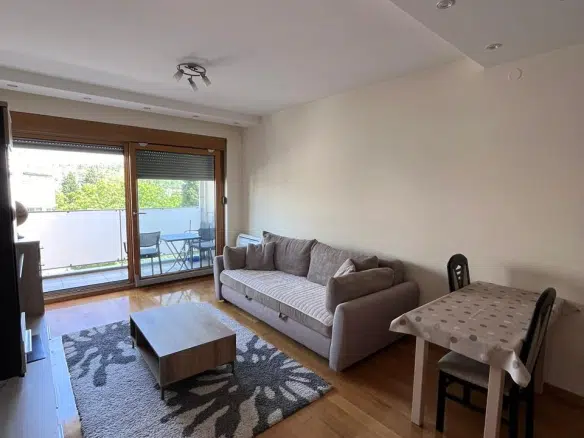 One Bedroom Apertment for Rent,Millennium bridge,Podgorica