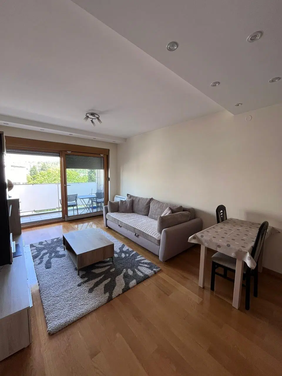 IMG-20250226-WA0039 One Bedroom Apertment for Rent,Millennium bridge,Podgorica