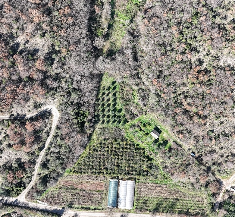 investment land in Ulcinj Montenegro. invest in montenegro. violet investment. investment land