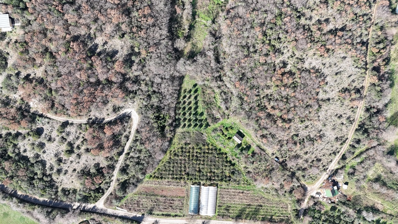 investment land in Ulcinj Montenegro. invest in montenegro. violet investment. investment land