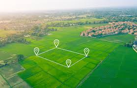 montenegro lands for sale, violet investment