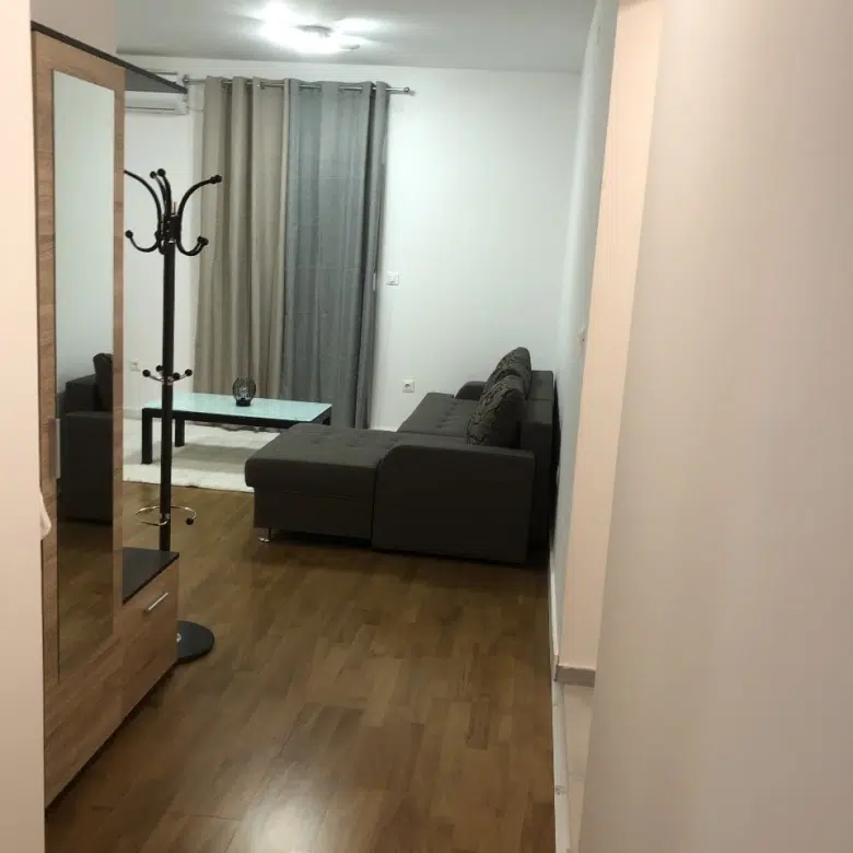 One Bedroom Apartment for Rent,Zabjelo,Podgorica