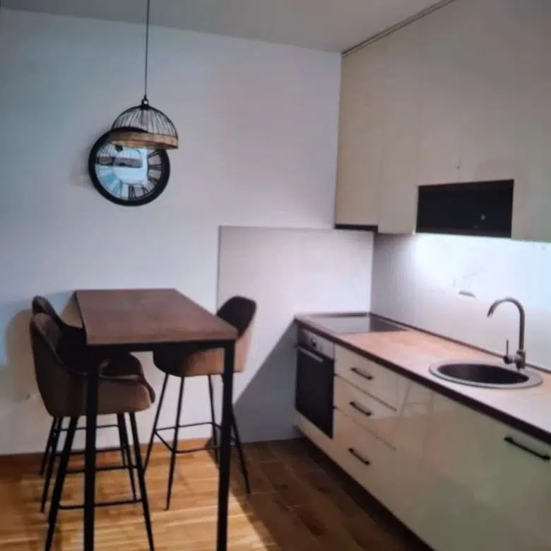 One Bedroom Apartment for Rent,37m2,Zabjelo,Podgorica