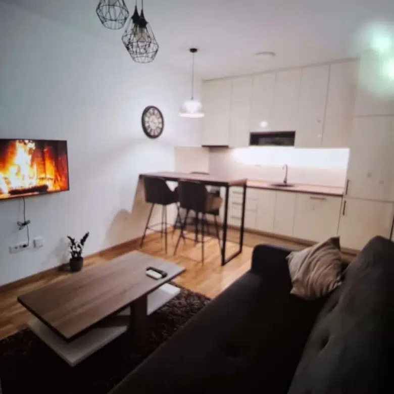 One Bedroom Apartment for Rent,37m2,Zabjelo,Podgorica
