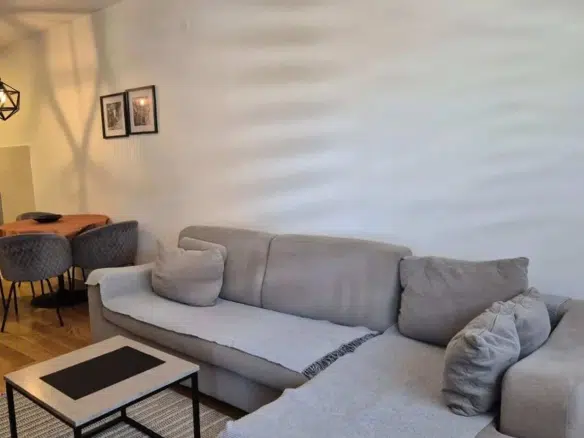 One Bedroom Apartment for Rent ,49m2,central point,Podgorica
