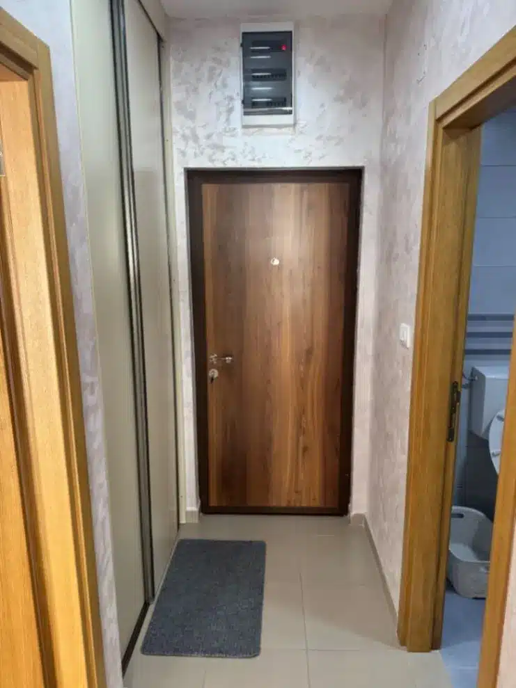 Violet investment , montenegro investment
