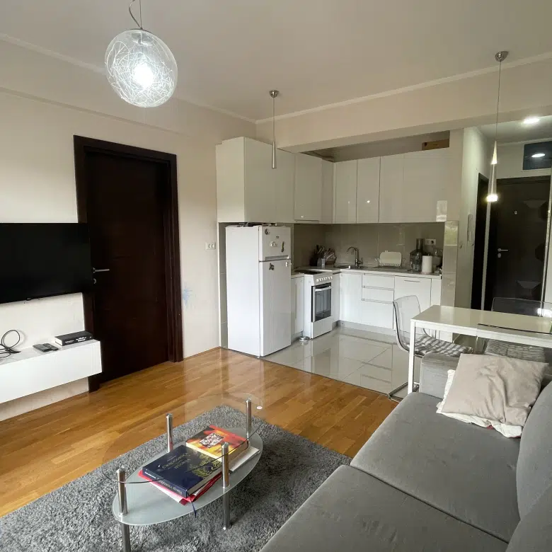 One Bedroom Apartment for Rent, 45m2, Vezirov Most, Podgorica