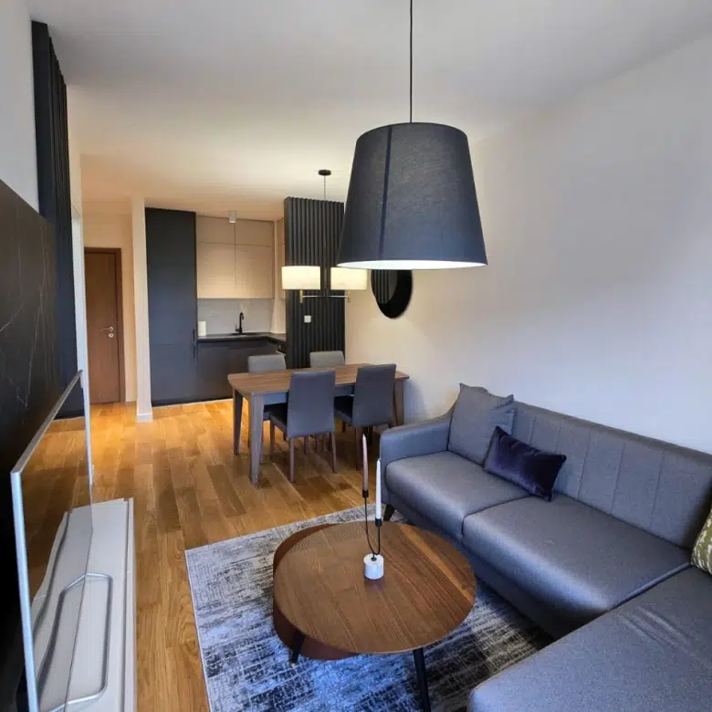One Bedroom Apartment for rent,42m2,Central Point,Podgorica