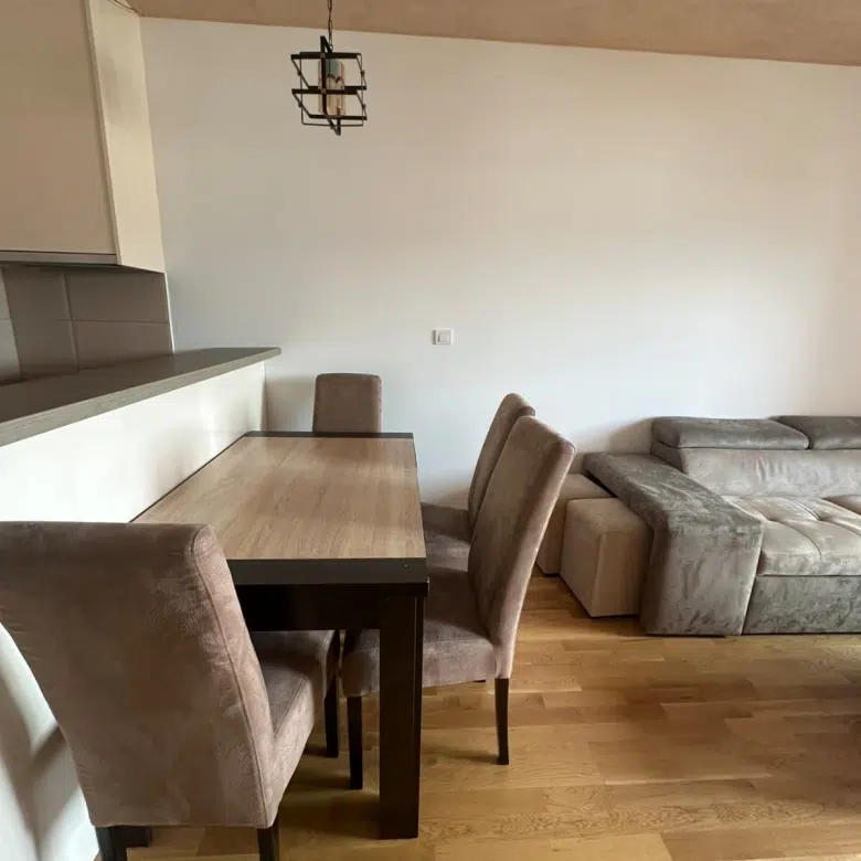 One Bedroom Apartment for Rent,48m2,Tuski put,Podgorica