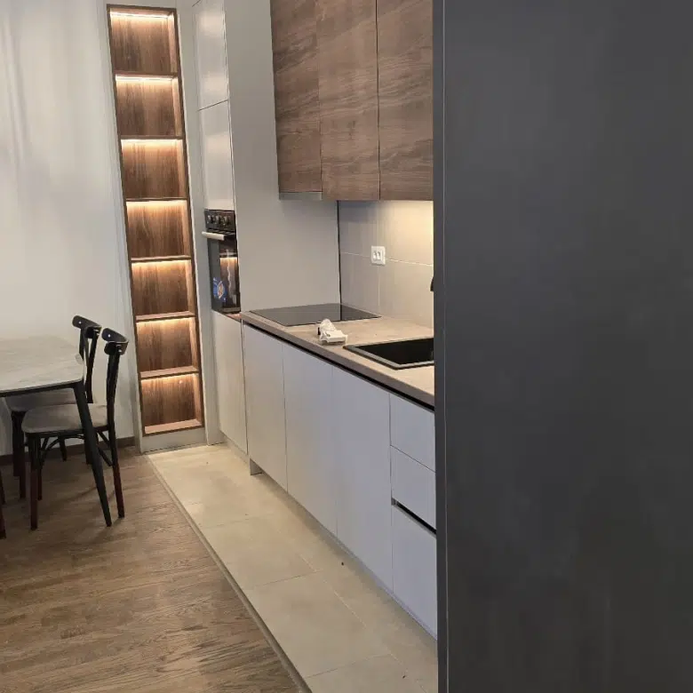 One Bedroom Apartment for Rent, 49m2, Zabjelo, Podgorica