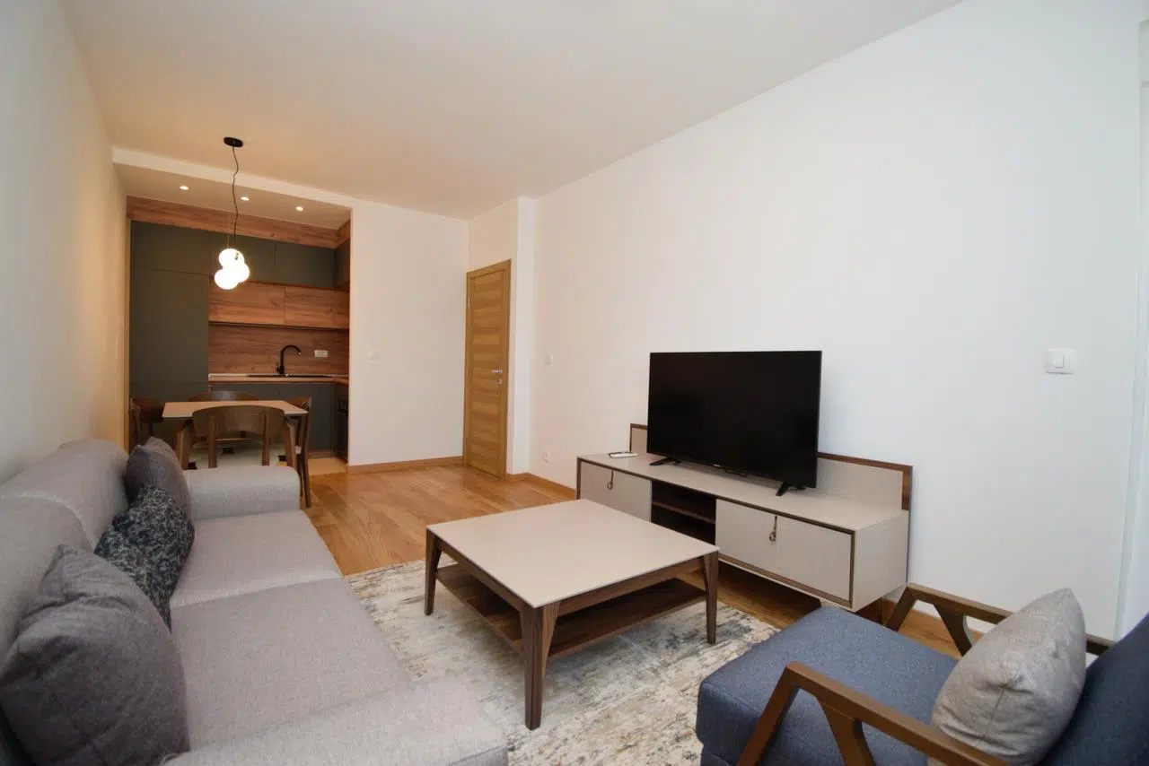 IMG-20250519-WA0015 One Bedroom Apartment for Rent,49m2,Central Point,Podgorica