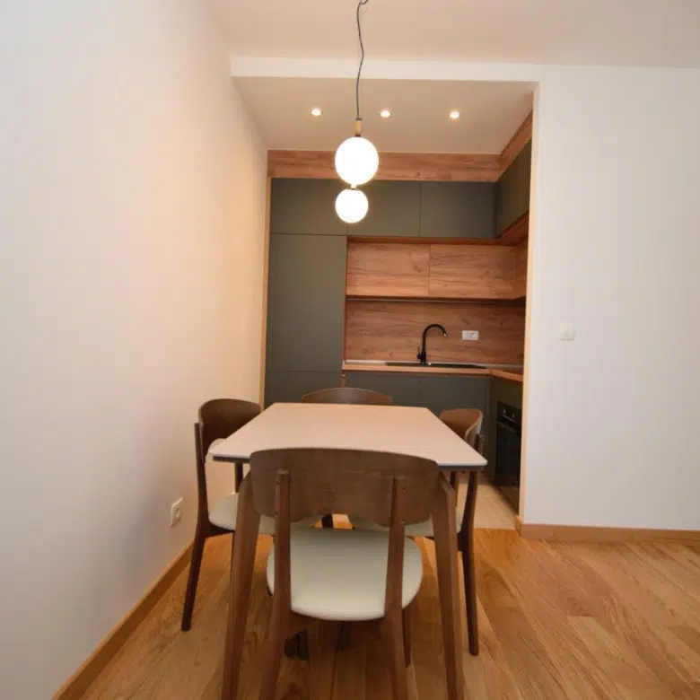 One Bedroom Apartment for Rent,49m2,Central Point,Podgorica
