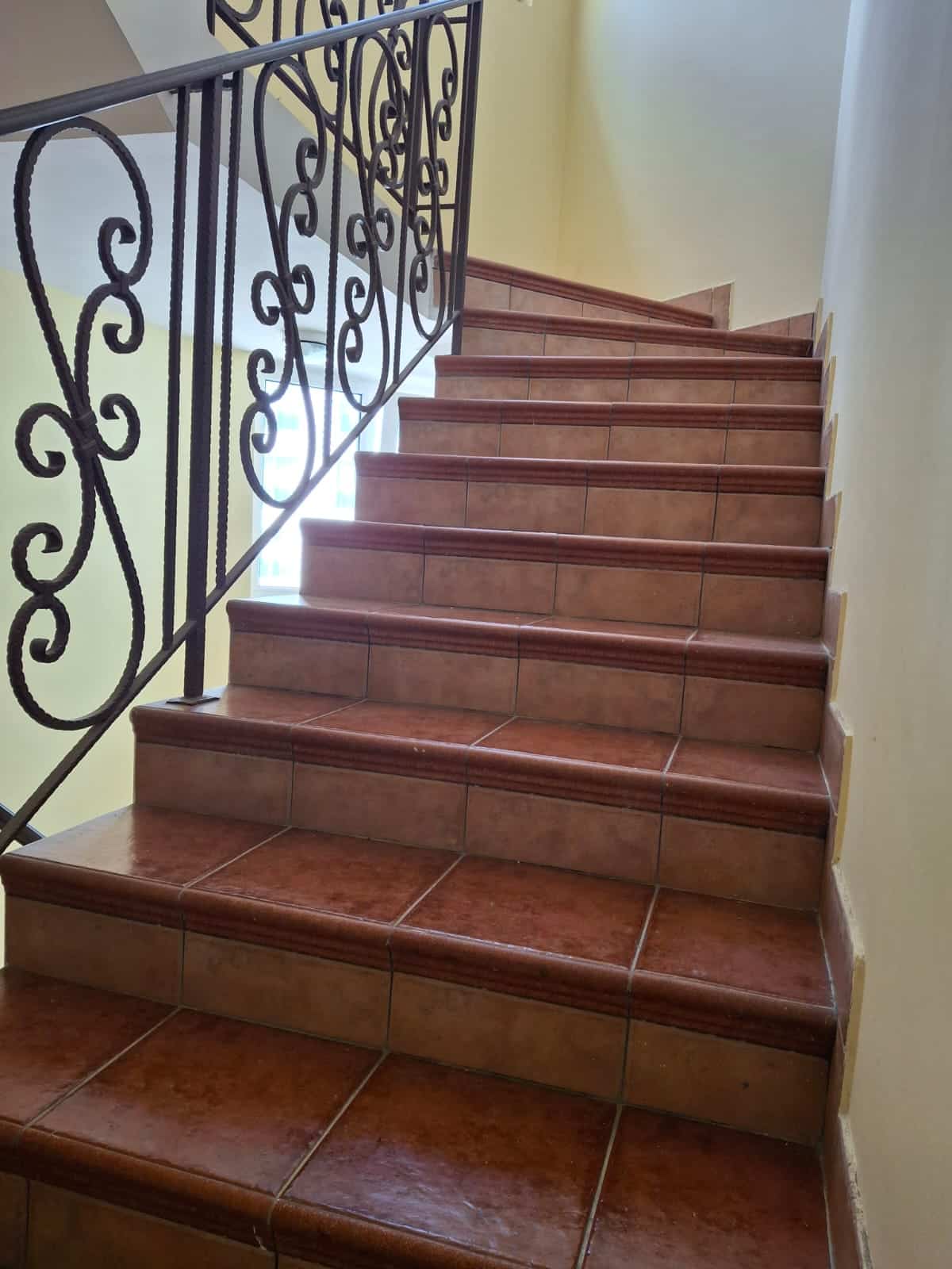 Violet investment Montenegro, invest in montenegro, apartment for sale in budva, investment in budva real estate, karadag yatirim