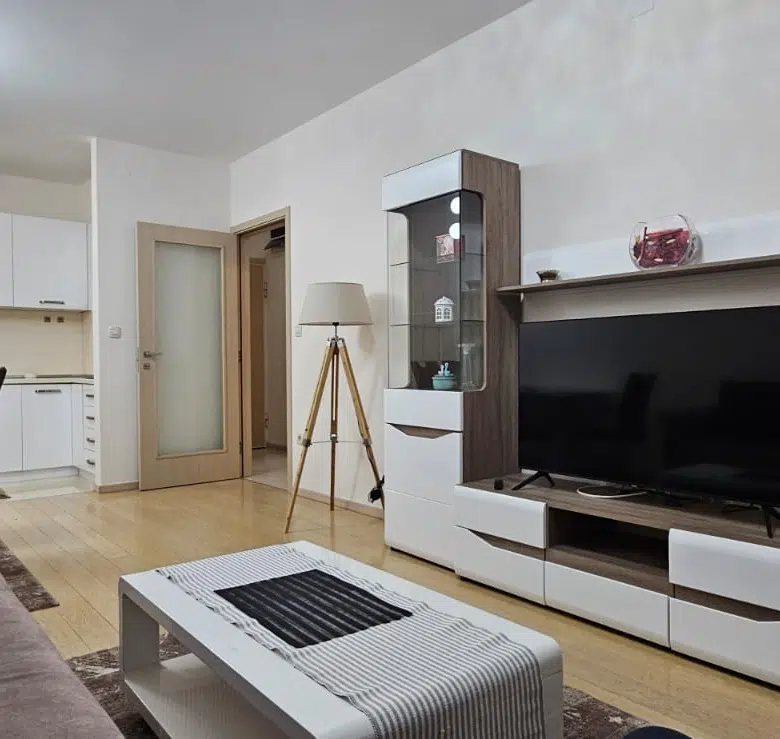 One Bedroom Apartment for Rent, 47m2, City Kvart, Podgorica
