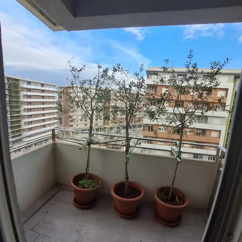Three-Bedroom apartment , Central Point