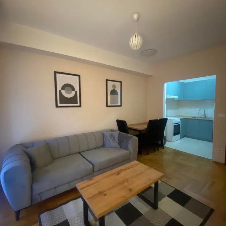 podgorica,violet investment, investment in montenegro, podgorica, apartment for sale in podgorica, karadag yatirim