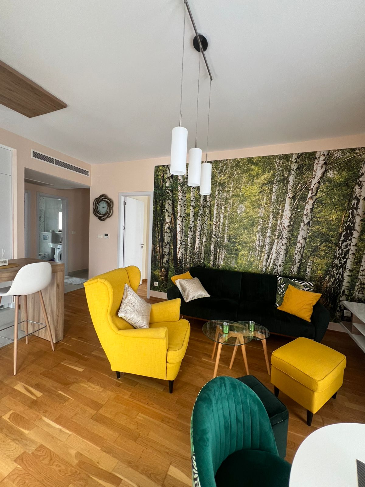investment in montenegro, apartment for sale near porto montenegro, violet investment, karadag yatirim. montenegro.