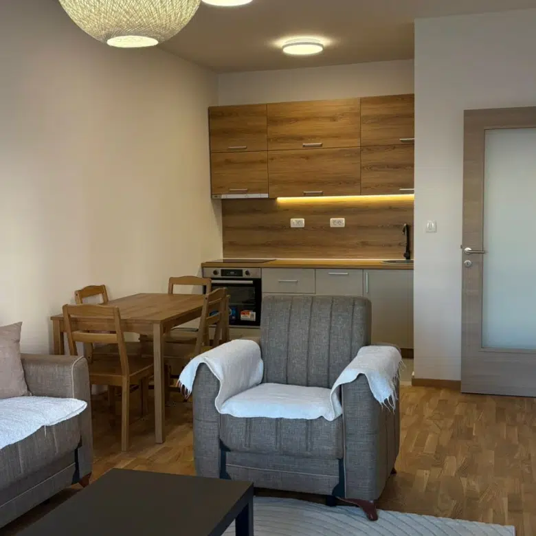 One Bedroom Apartment for Rent, 46m2, Zabjelo, Podgorica