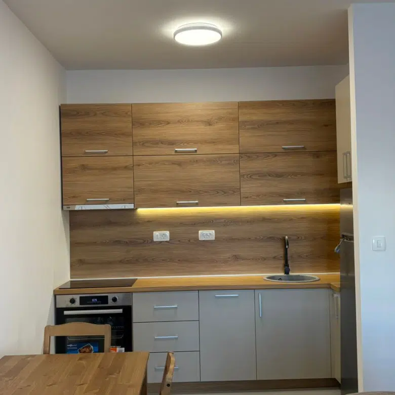 One Bedroom Apartment for Rent, 46m2, Zabjelo, Podgorica