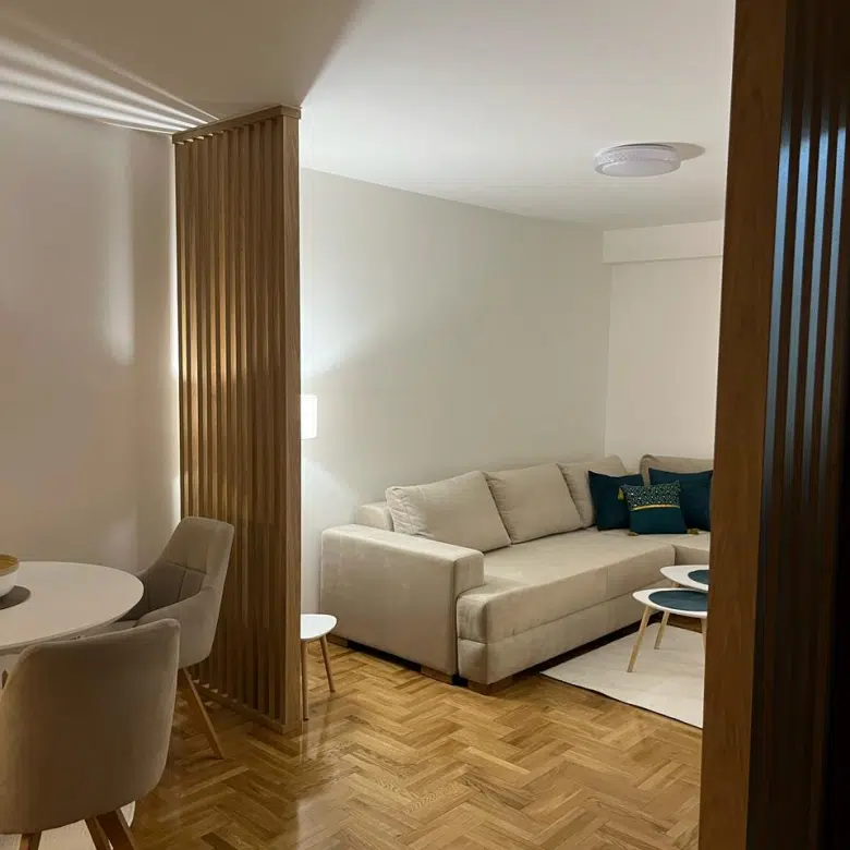 One Bedroom Apartment for Rent, 42m2, Central Point, Podgorica