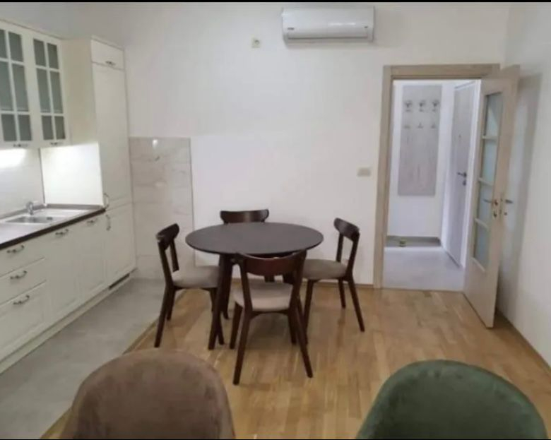 One Bedroom Apartment for Rent, 44m2, Blok 6, Podgorica