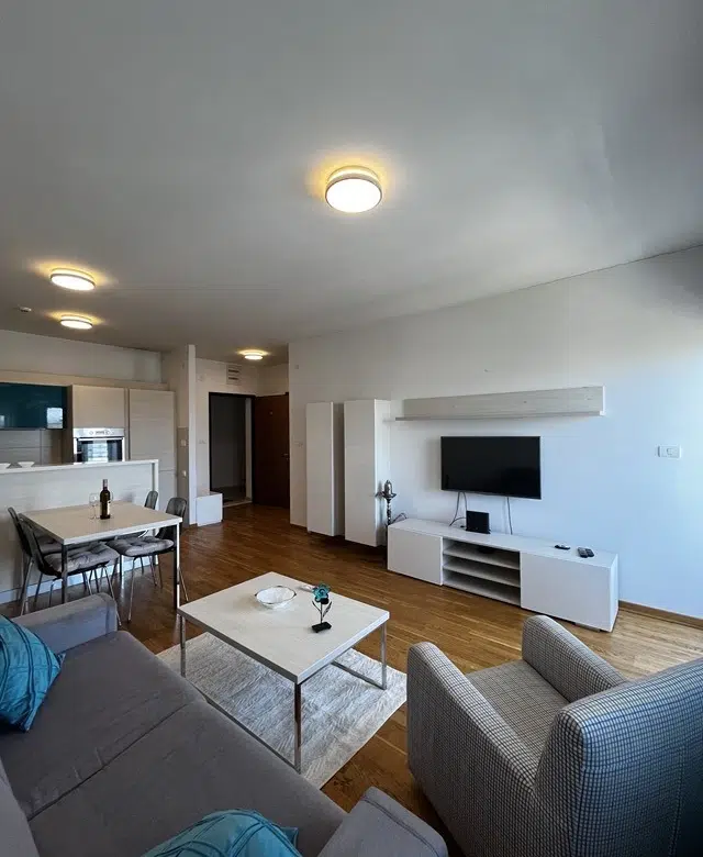 One Bedroom Apartment for Rent, 51m2, City Kvart, Podgorica