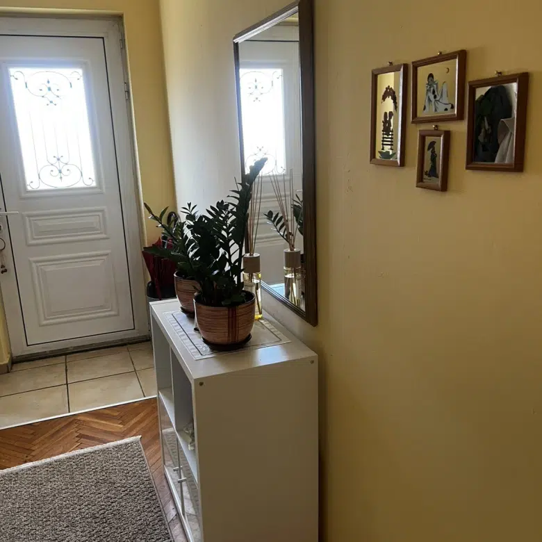 Three Bedroom Apartment for Rent,tolosi,Podgorica