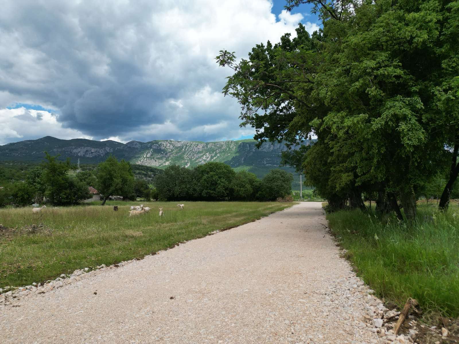 Violet investment,karadag,danilovgrad, land for sale,Montenegro investment, invesment in la nd, land investment