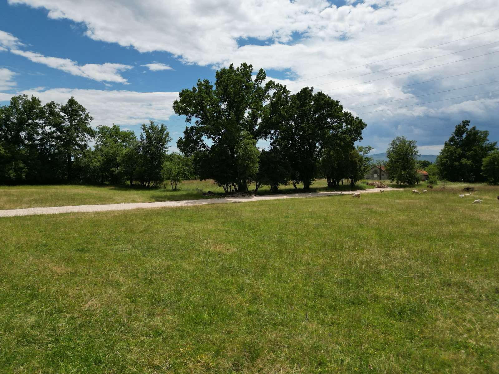 Violet investment,karadag,danilovgrad, land for sale,Montenegro investment, invesment in la nd, land investment