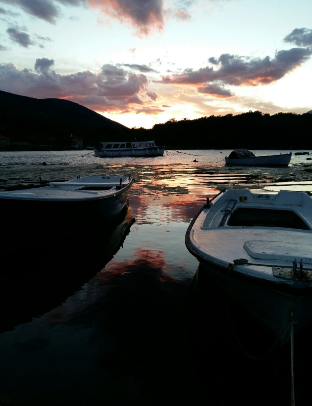 Uniqe stone house for sale,violet investment, karadag,montenegro,house for sale in tivat,porto montenegro, tivat, stone house for sale in montenegro, montenegro investment