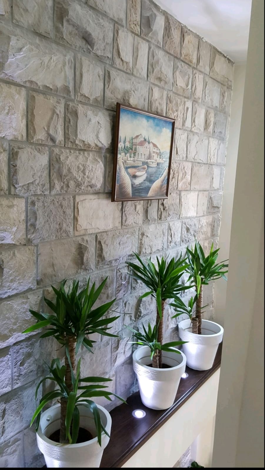 Uniqe stone house for sale,violet investment, karadag,montenegro,house for sale in tivat,porto montenegro, tivat, stone house for sale in montenegro, montenegro investment