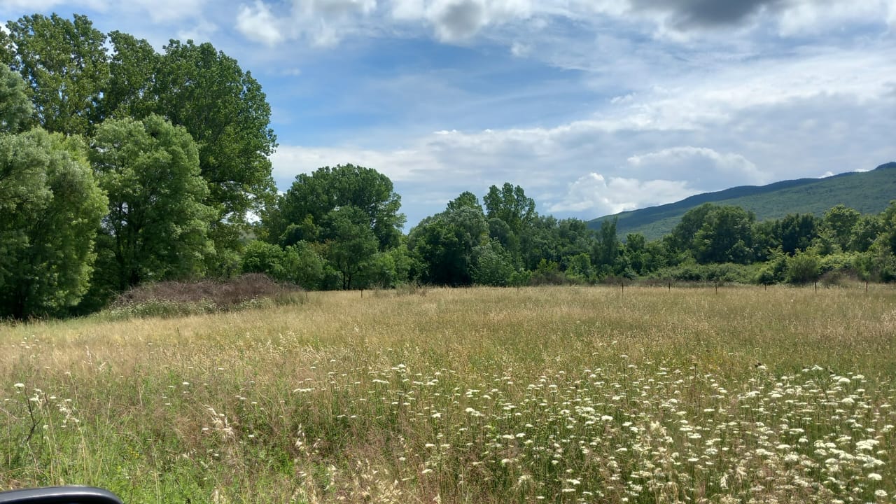 Violet investment, Danilovgrad,land for sale, montenegro investment, land for sale in montenegro