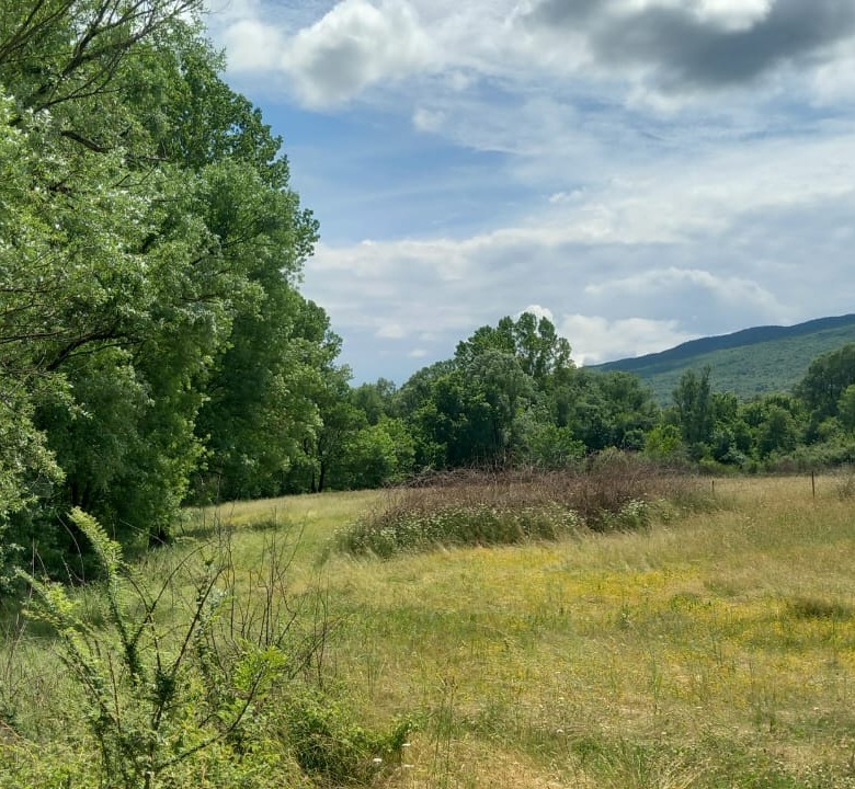 Violet investment, Danilovgrad,land for sale, montenegro investment, land for sale in montenegro