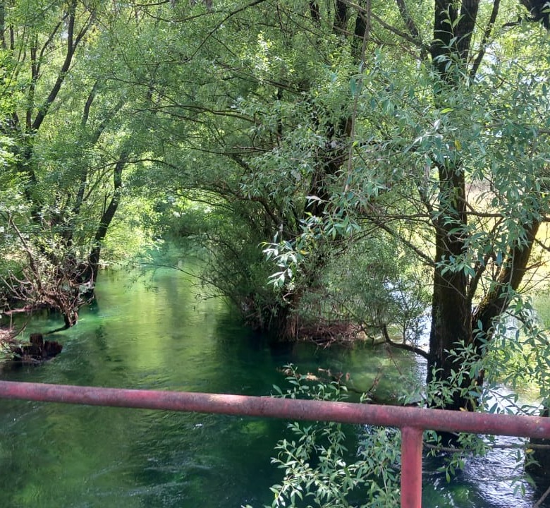 Land Lot for Sale, 8500m2, Bandići, Danilovgrad