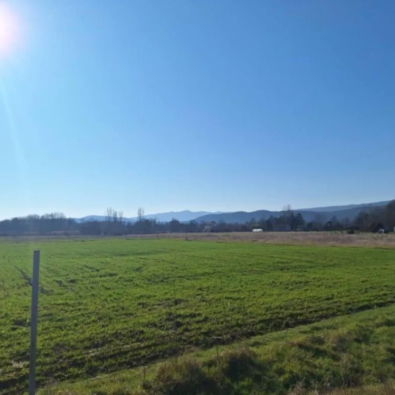 violet investment, montenegro investment,podgorica,karadag,montenegro, apartment for sale in podgorica