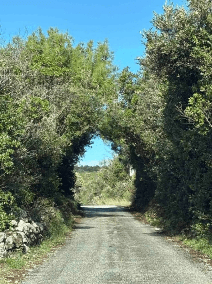 violet investment, kotor, montenegro, stone house for sale, stone house in kotor, montenwegro investment, investments in montenegro, buy house in montenegro, buy house in kotor