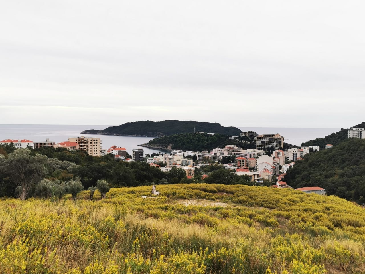 Land for sale Budva Investment land Montenegro Urbanized land Budva Montenegro coastal land for sale Budva real estate investment, violet investment Land for sale Budva Investment land Montenegro Urbanized land Budva Montenegro coastal land for sale Budva real estate investment, violet investment