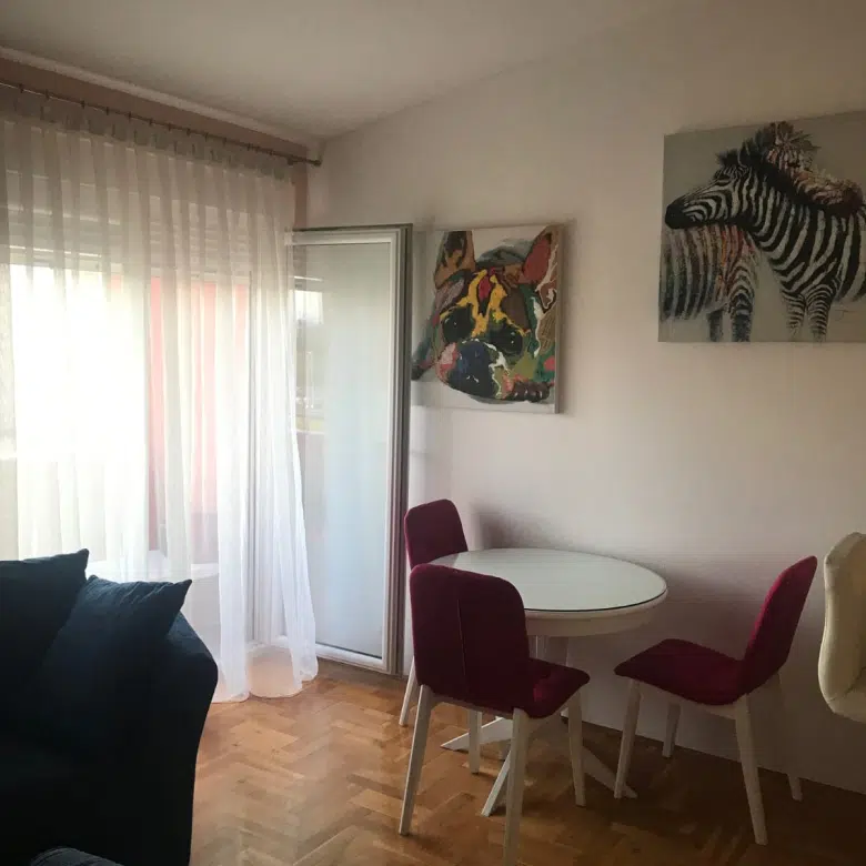 Two-bedroom Apartment for Rent – Zabjelo