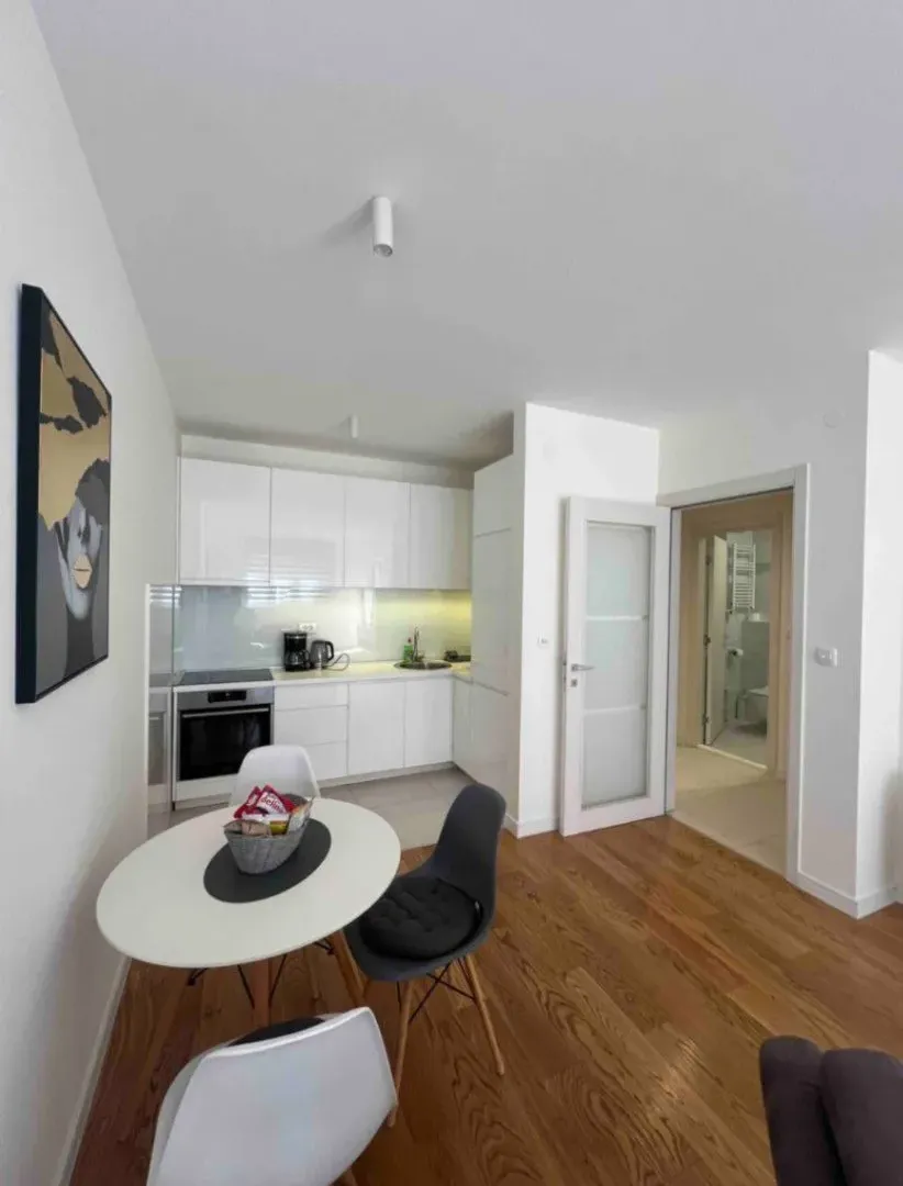 furnished apartment for sale Podgorica Central Point apartment for sale 1 bedroom apartment Podgorica 49 m2 apartment Podgorica Central Point Podgorica real estate, violet investment