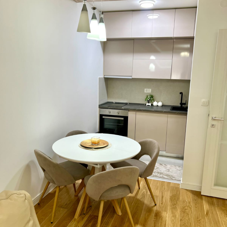 One Bedroom Apartment For Rent,47m2,Podgorica – Central Point
