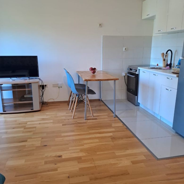 Studio Apartment for Rent – Zabjelo