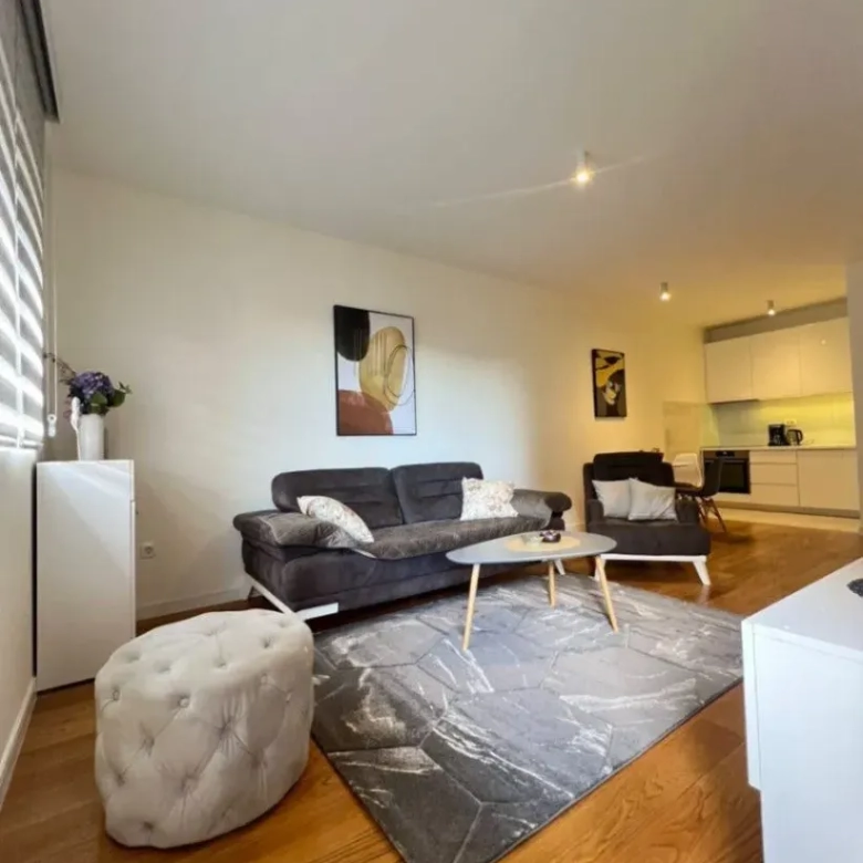 furnished apartment for sale Podgorica Central Point apartment for sale 1 bedroom apartment Podgorica 49 m2 apartment Podgorica Central Point Podgorica real estate, violet investment